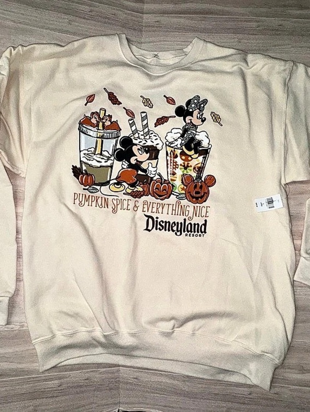 Disney Parks Disneyland Pumpkin Spice & Everything Nice Sweatshirt Large